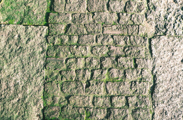  
Ancient stones wall of fortress cover with moss. Green Moss Covered Castle Walls with quadrangular ancient rock stones with moss in the cracks and crevices.