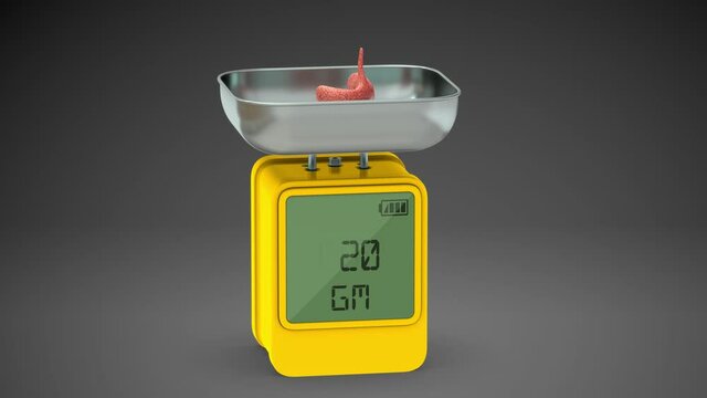 Organ weight of pancreas 3d Thyroid gland video clip