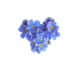 Fototapeta na wymiar Heart made with blue Forget-me-not flowers isolated on white