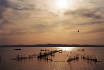 Obraz premium sunset in the albufera