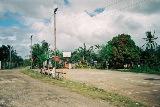 basket in the tropical landscape