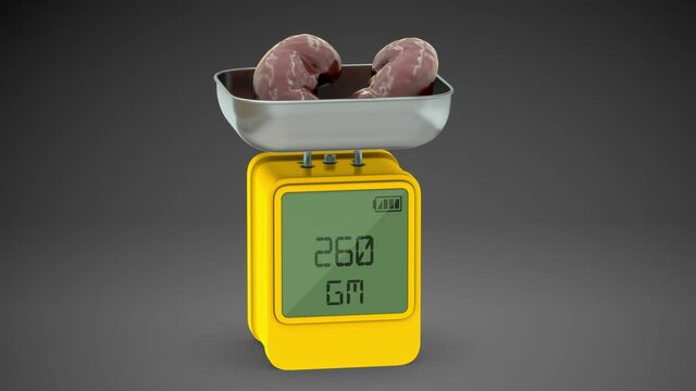 Organ weight of pancreas 3d kidney video clip