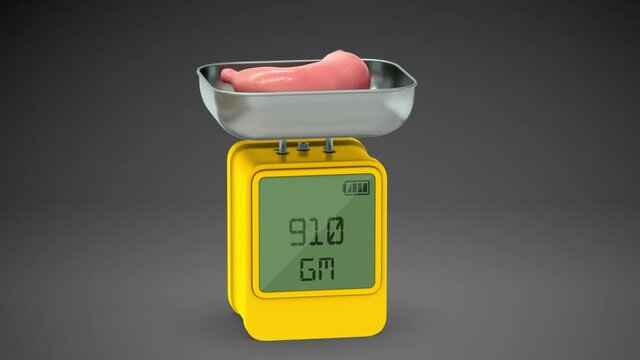 Organ weight of pancreas 3d stomach video clip