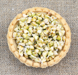 Tartlet with sprouted green buckwheat on a linen background.Healthy food. Vegan food. Nature vitamins. Super food