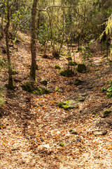 Parte de un sendero en La Caldera, una zona de ocio en la isla de Tenerife