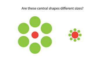 An optical Ebbinghaus illusion (also called a visual illusion) is an illusion caused by the visual system and characterized by a visual percept that arguably appears to differ from reality.