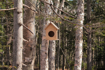 white bird feeder in the forest