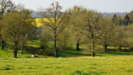 Promenade dans la campagne