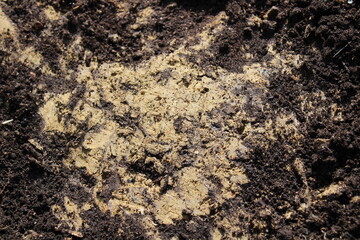 Lehm in der Erde
