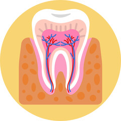 Human Anatomy Icon. Vector Illustration
