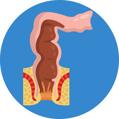 Human Anatomy Icon. Vector Illustration