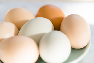 Colorful fresh eggs