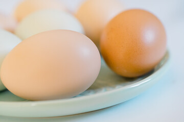 Hues of brown and blue eggs
