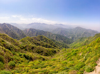 Naklejka premium Qinling Mountain