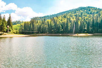 Summer landscape with green pine forest, lake Synevyr and Carpathians mountain in Ukraine