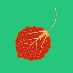 Leaves of trees in autumn. Vector illustration of a bright tree leaf on a green background.