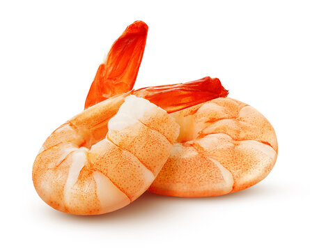 Shrimps isolated on white background 