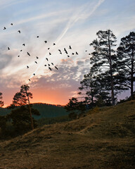 sunset in the mountains