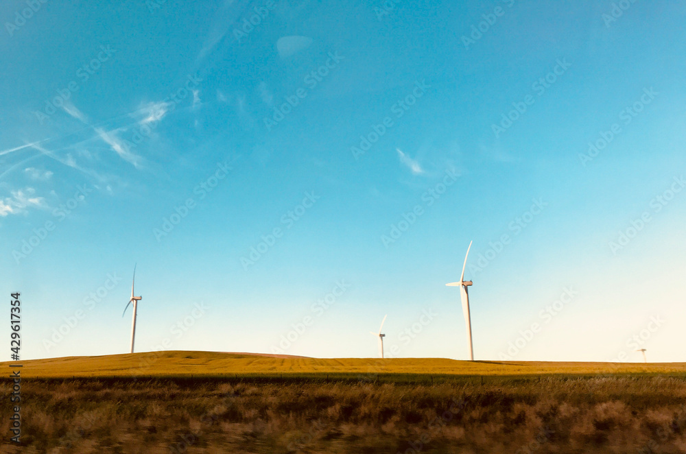 Wall mural wind turbines farm