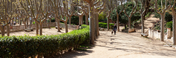 Fototapeta na wymiar Spring park with a place to relax. The woman walks the dog.