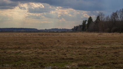 Early spring in the field. Sunlight through the clouds. Forest on the horizon. Dramatic clouds. Landscape with a field and trees. The sun shines with bright rays.