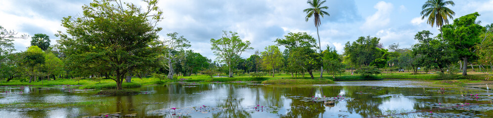 Fototapeta na wymiar Natural pond Landscape panoramic view near Jaya Sri Maha Bodhi car park.