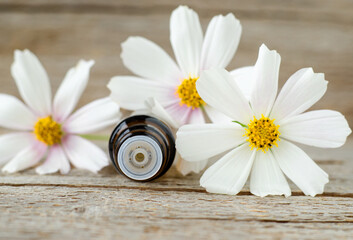 Fototapeta na wymiar Small bottle with essential oil and white flowers. Aromatherapy, homemade spa, natural beauty treatment concept. Old wooden background, copy space.