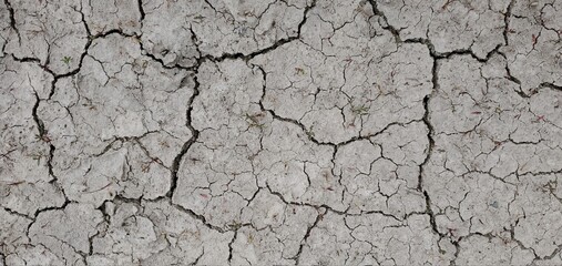 Marco close up of cracked mud on a hot day.