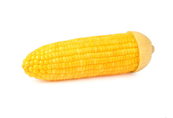 Sweet corn isolated on a white background.