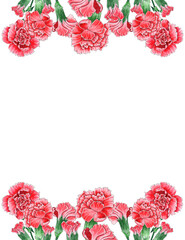 Watercolor Carnation flowers border, floral template.