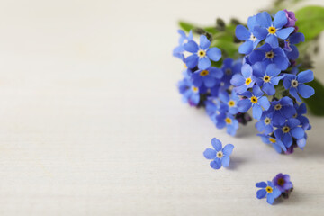 Beautiful blue forget-me-not flowers on white wooden table, closeup. Space for text