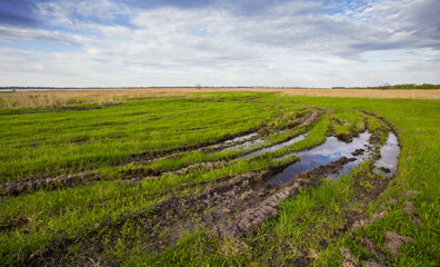 green field with dirty road under a cloudy sky, countryside rural spring scene, agricultural background