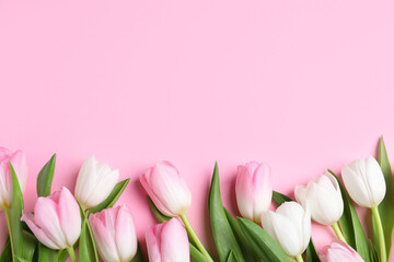 Fototapeta premium Beautiful spring tulips on pink background, flat lay. Space for text