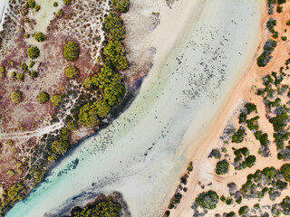 aerial view of australian river