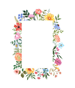 Watercolor floral frame with hand painted summer meadow wildflowers, herbs, grass, leaves, isolated on white background. Rectangle botanical border. Card or invitation template.