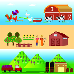 Illustration of the process of growing and harvesting crops. Equipment for agriculture. Vector set of agricultural vehicles and farm machines. Tractors, harvesters, combines.