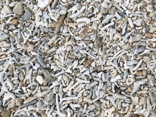close up of a lot of dried mushrooms