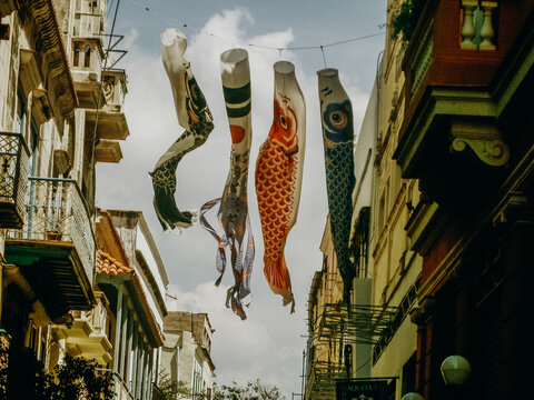 Koinobori streamers hanging from line in Havana street