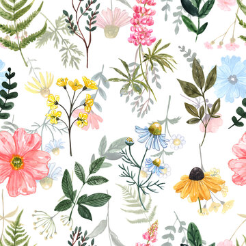 Pretty floral seamless pattern with wild flowers on white background. Watercolor meadow wildflower illustration. Colorful botanical print. Floral designer paper.