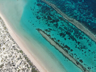 reef barrier