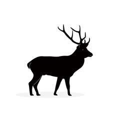 Deer icon and vector graphics