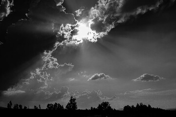 cielo