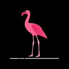 Flamingo vector art and graphics