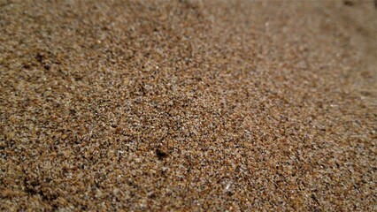 Fototapeta na wymiar sand up close