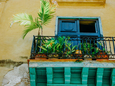Balcony with palm leaves in Havana