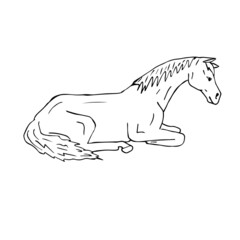 Vector hand drawn doodle sketch laying horse isolated on white background