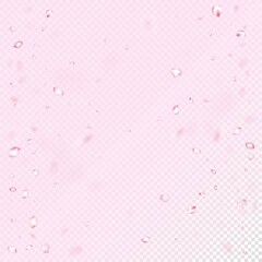 Cherry Sakura Blossom Confetti. Elegant Rich VIP Tender Texture.