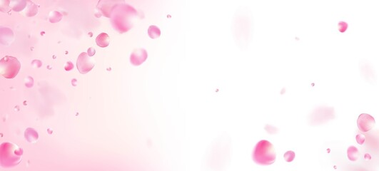 Rose Petals Falling Confetti. Blooming Cosmetics Ad Female Floral