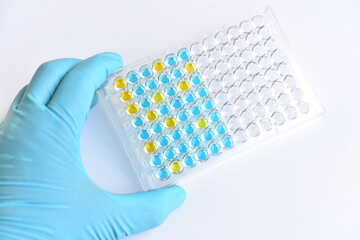 Enzyme-linked immunosorbent assay or ELISA plate, Immunology testing method in medical laboratory