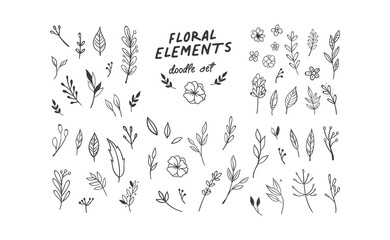 Hand drawn floral elements. Swirls, laurels, arrows, leaves, flowers and branches. Doodle botanical elements.